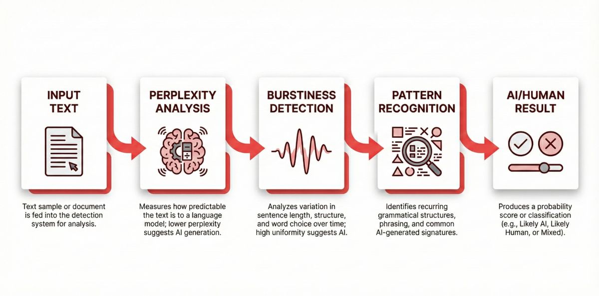 AI detector technical diagram showing detection process: perplexity analysis, burstiness detection, linguistic pattern recognition, and model fingerprinting steps